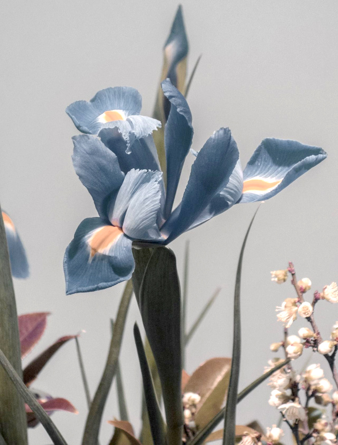 Bleu fum�e + vert anglais + caramel = le bon mix