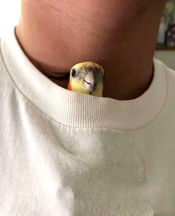 Rester en contact... tout un art !