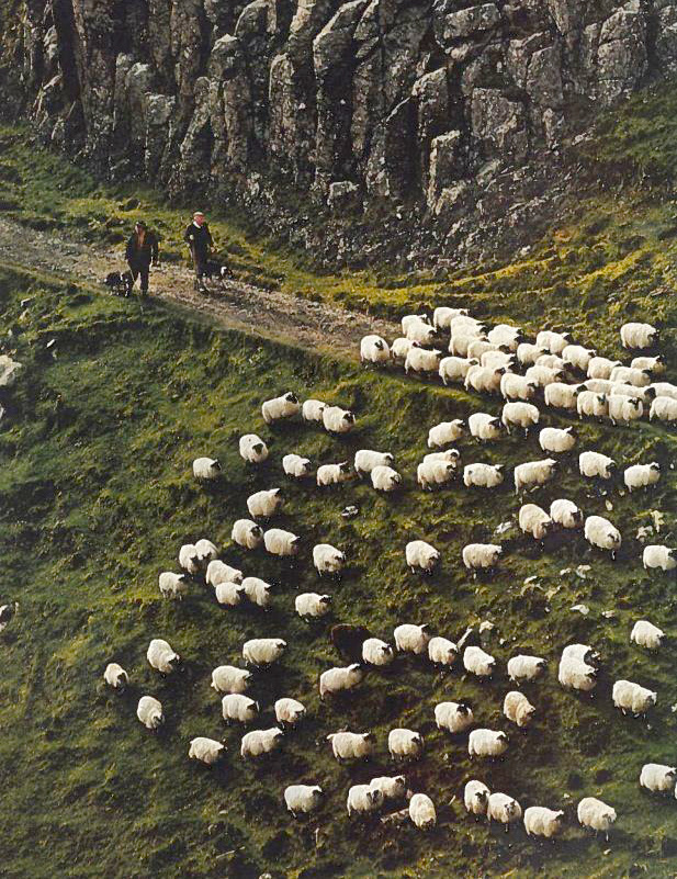 Le parfait kit anti-insomnie !