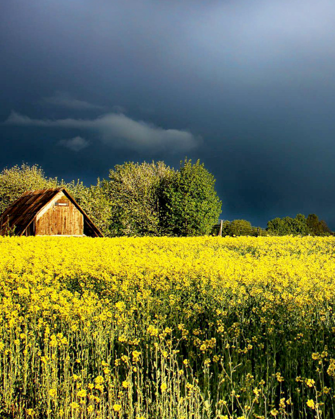 The perfect place #396