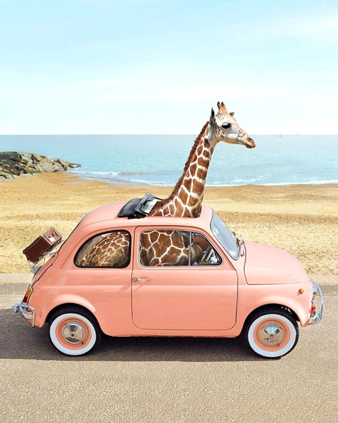 S'�vader... tout un art !