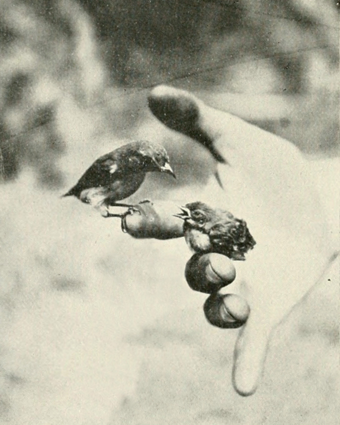 Prendre le temps... tout un art !