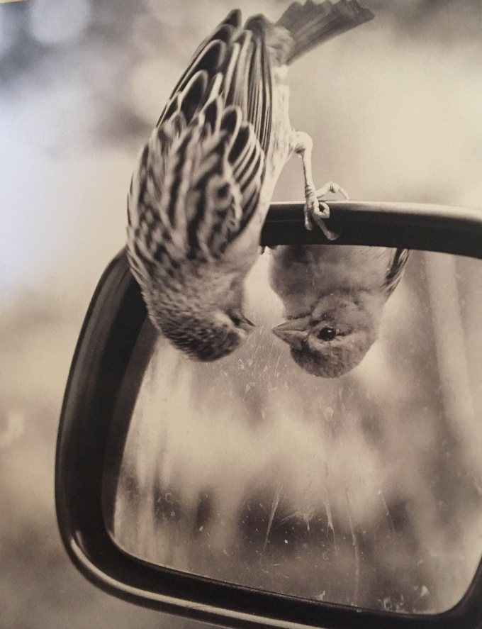 S'apprivoiser... tout un art !