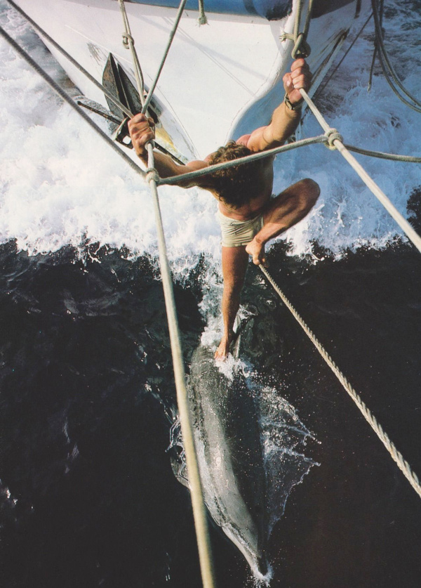 The perfect place #411