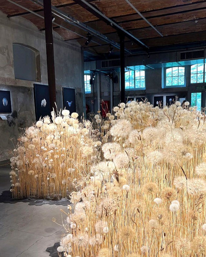 Donner vie aux songes... tout un art !