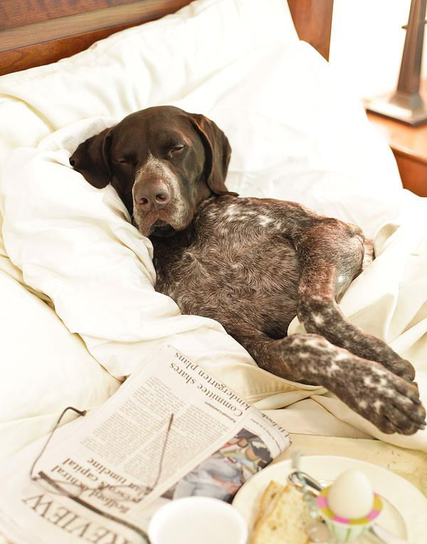 Prendre le temps... tout un art !