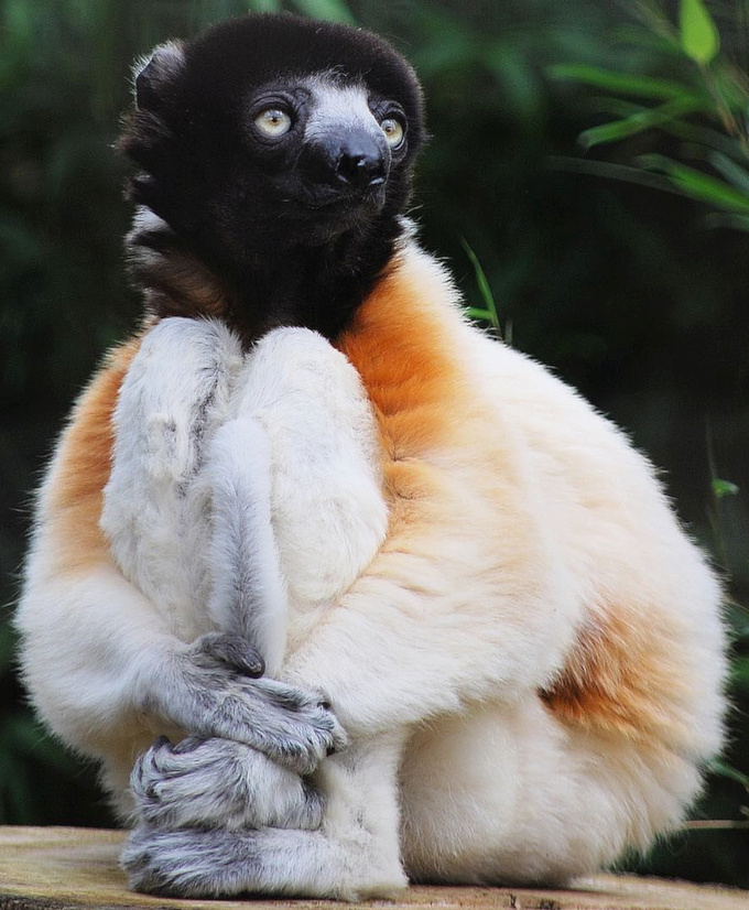 Savoir patienter... tout un art !