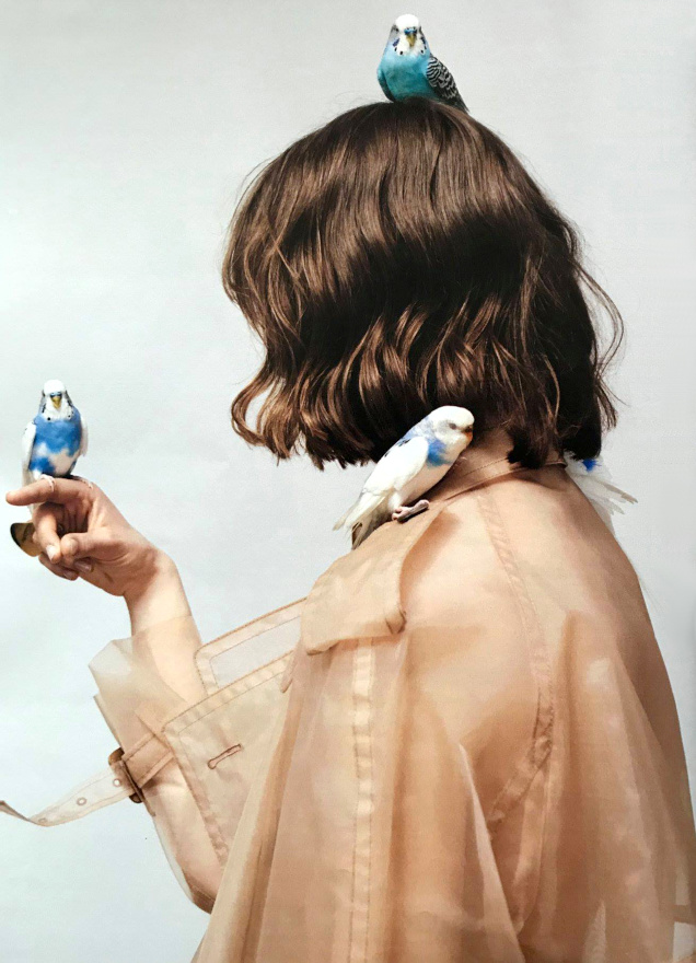 Se faire des amis... tout un art !