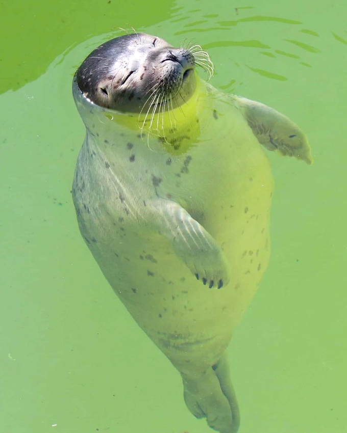 Profiter de la vie... tout un art !