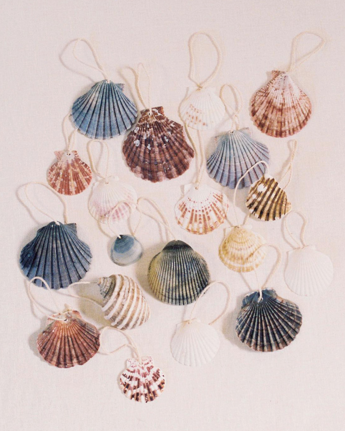 Les coquillages, des d�corations de No�l sous-estim�es !