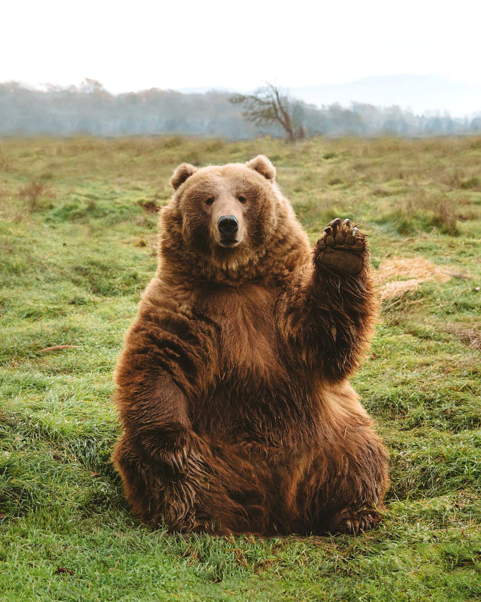 Faire connaissance... tout un art !