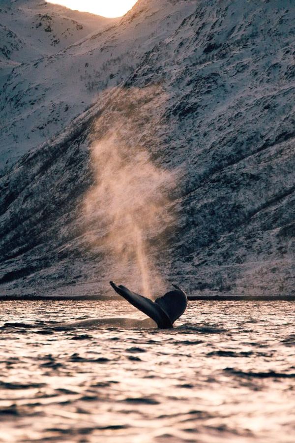 Savourer l'instant pr�sent... tout un art !