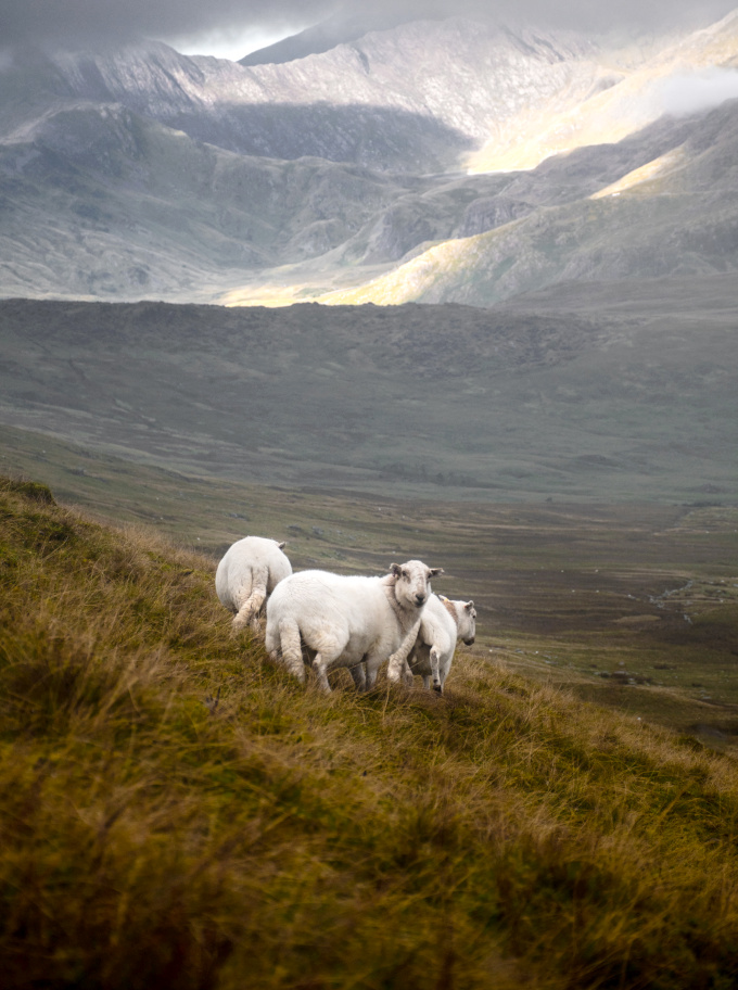 The perfect place #443