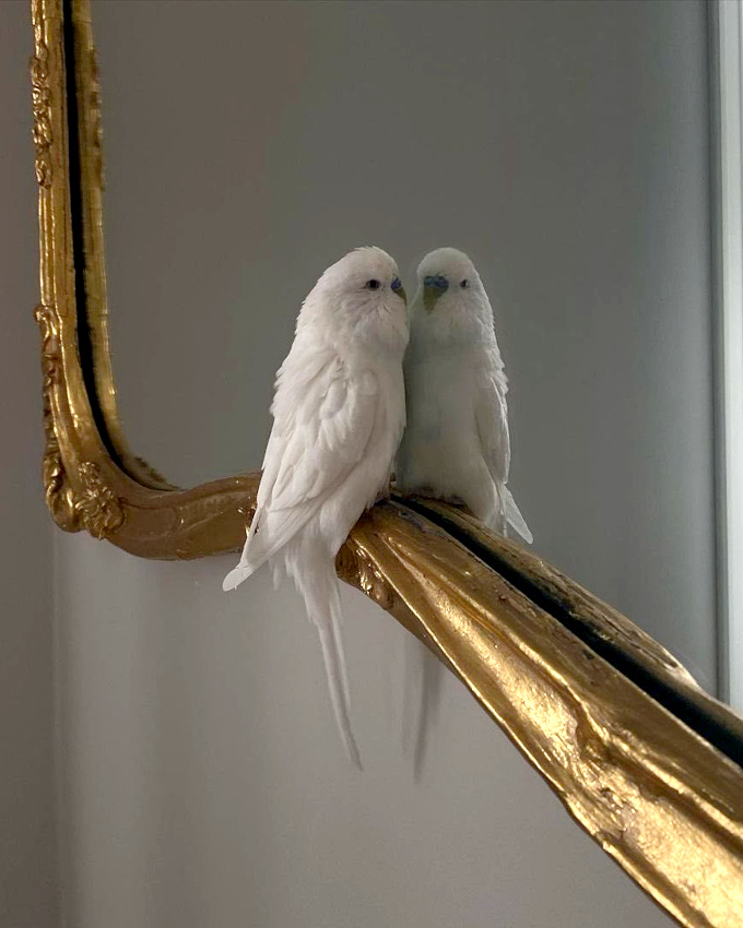 Se dcouvrir... tout un art !