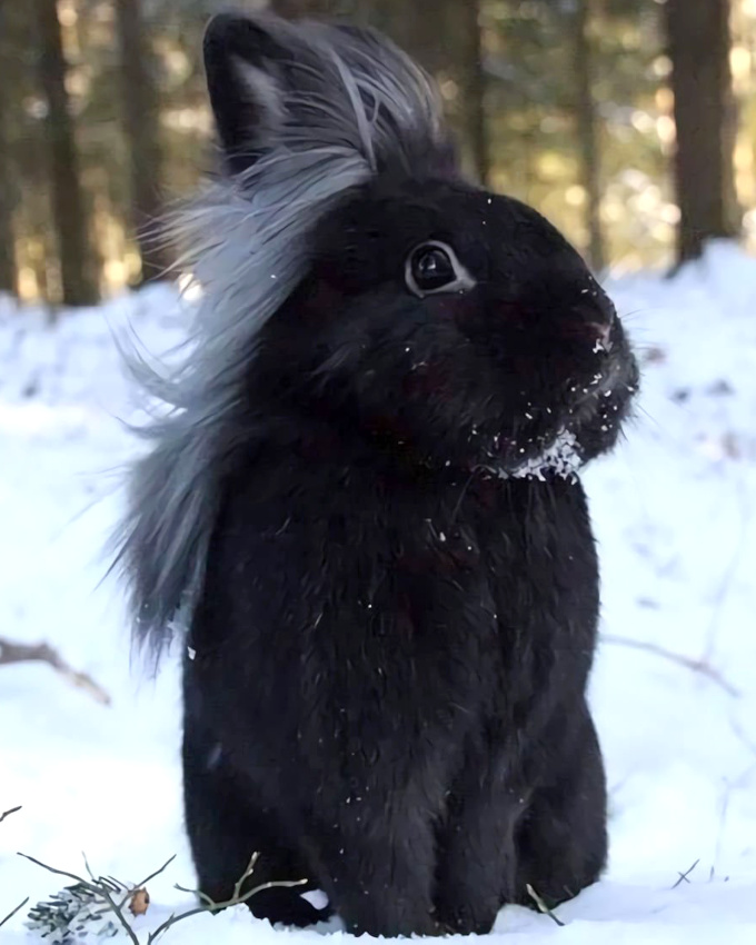 Assumer sa diffrence avec panache... tout un art !