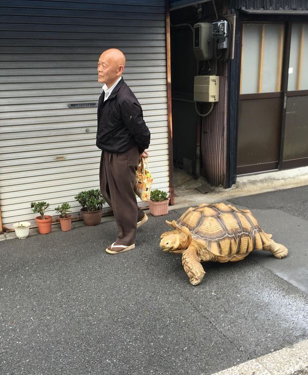 Avancer  son rythme... tout un art !