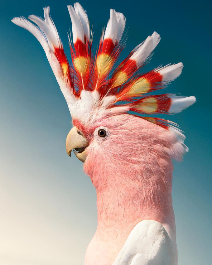 Se mettre sur son 31... un petit plaisir � ne jamais bouder !