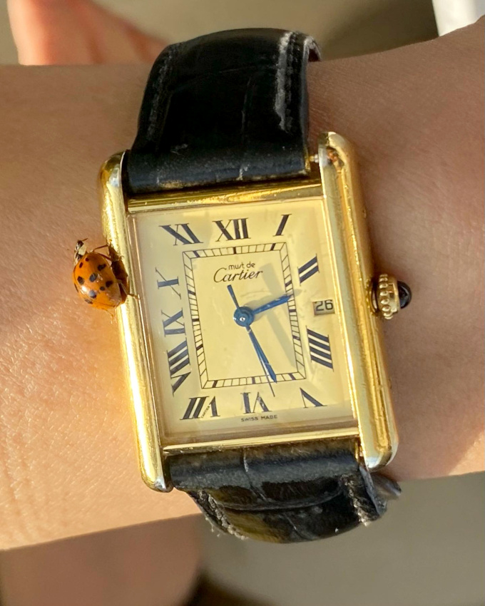 Montre vintage iconique + coccinelle = le bon mix