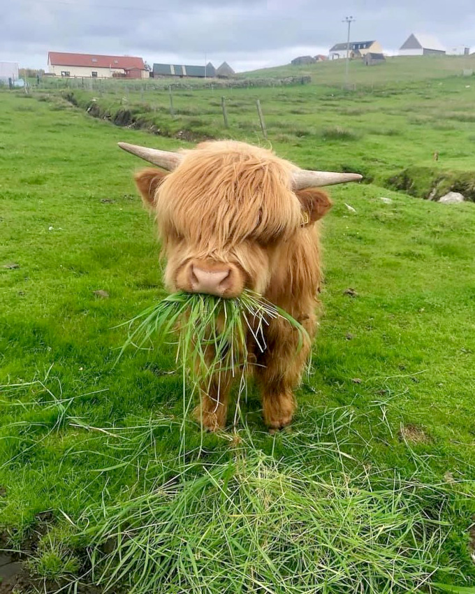 Assumer sa phobie des coiffeurs... tout un art !