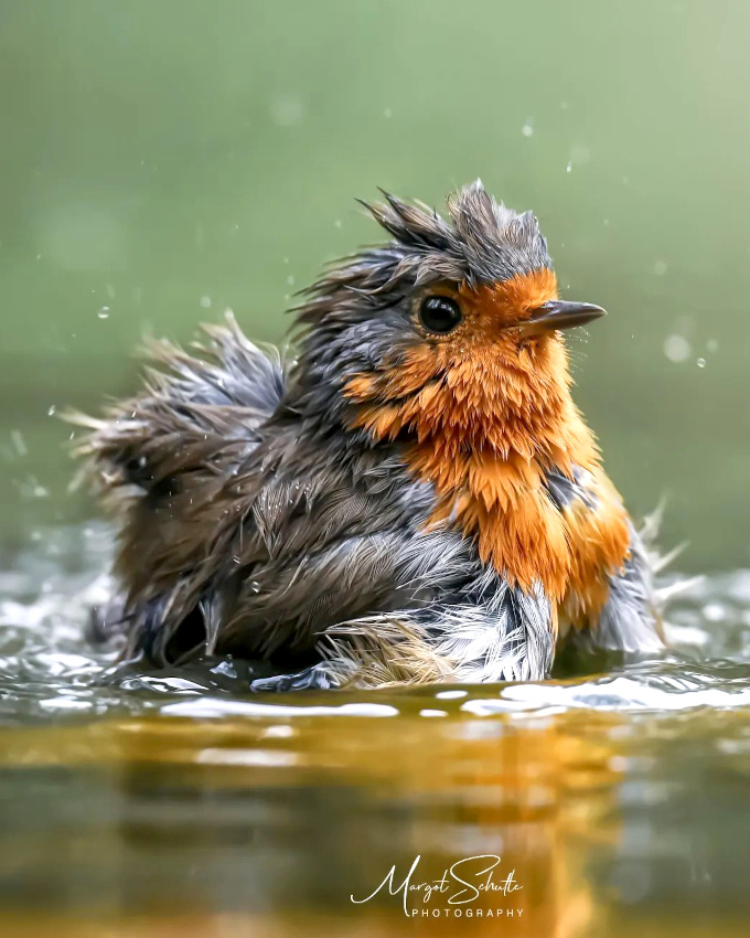 Ne jamais sous-estimer le charme de la beaut post-rveil !