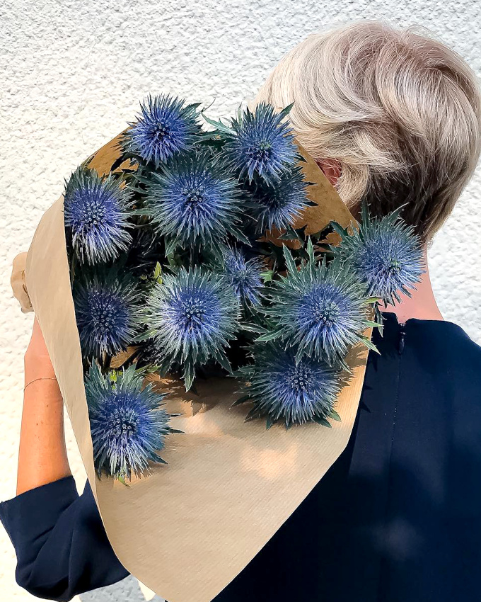 Piquantes et violettes, les fleurs de chardon ne manquent pas de charme !