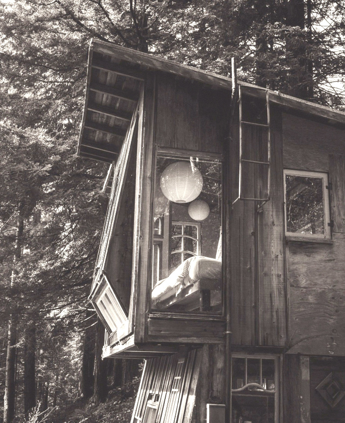 The perfect place #454