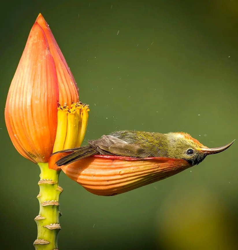 Faire un break... tout un art !