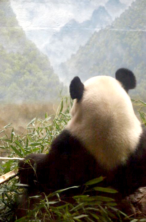 Faire une pause... tout un art !