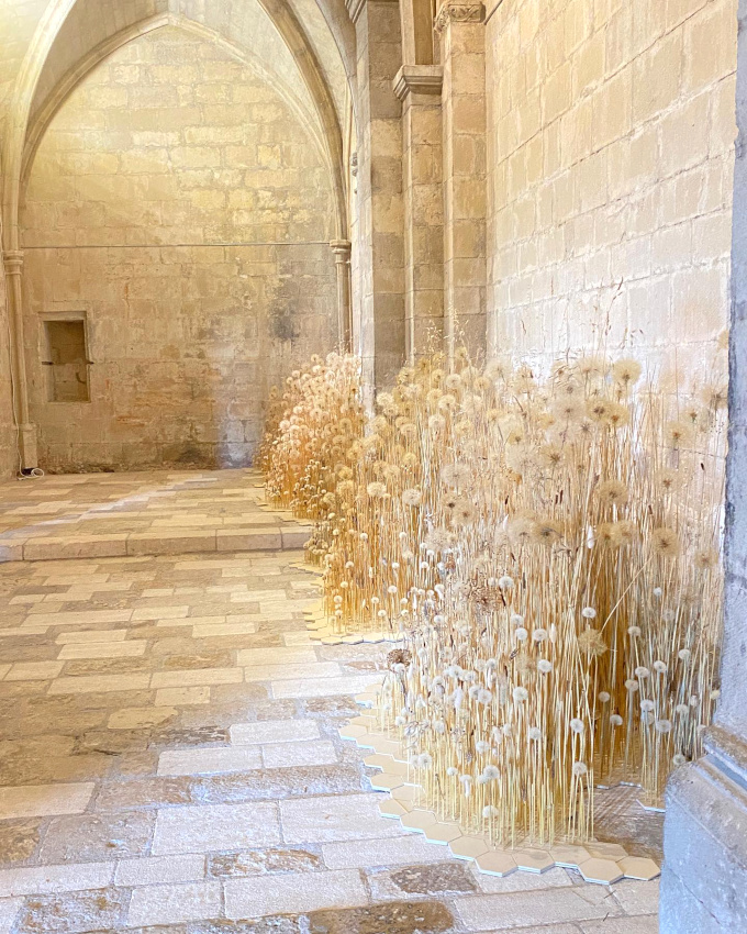 The perfect place #460