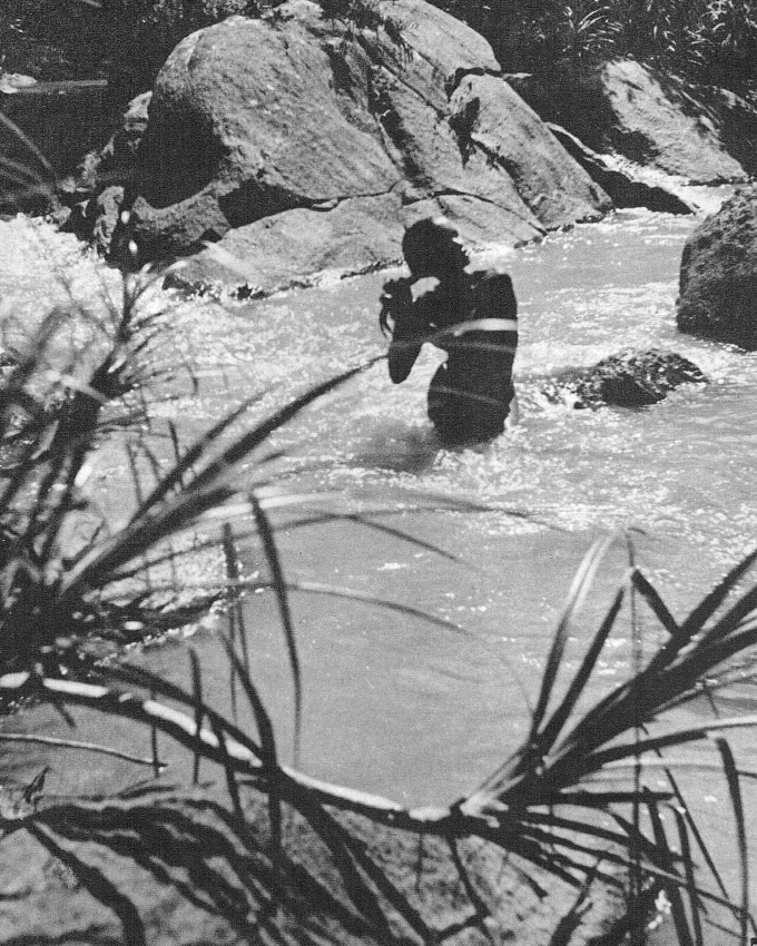 Illustration parfaite du bonheur #334