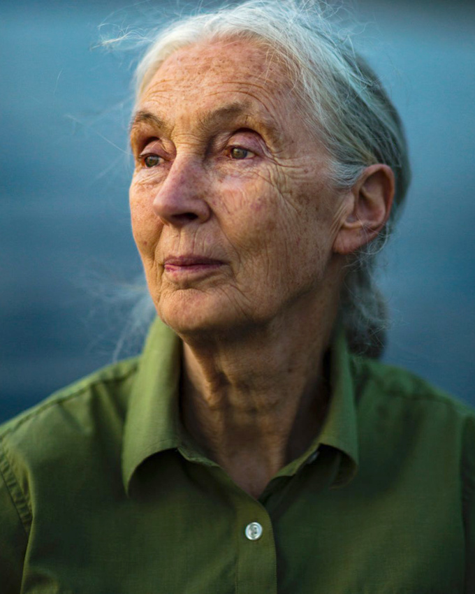 D�dier sa vie � sa passion offre au visage une force in�galable...