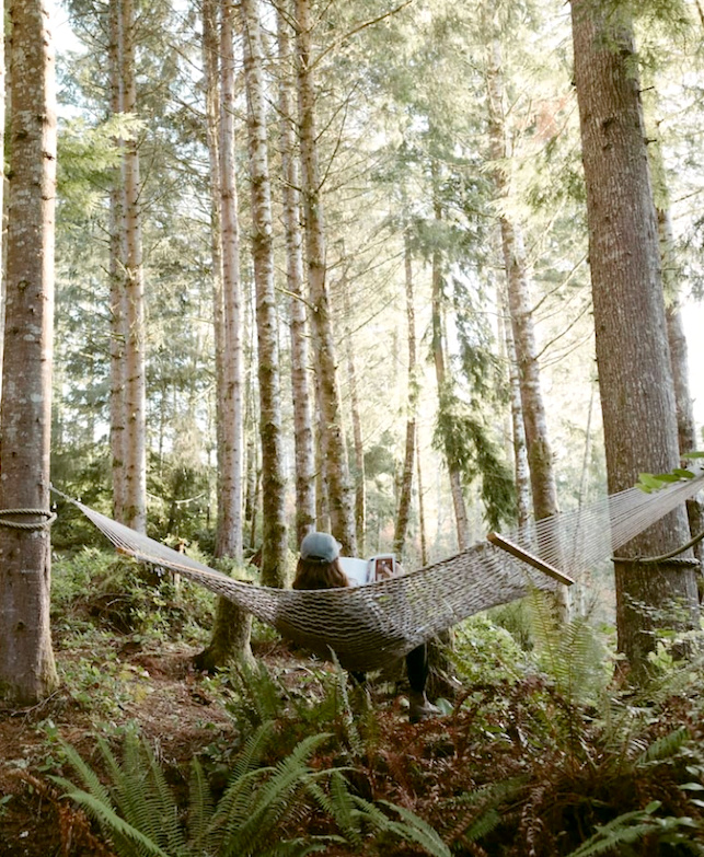 Hamac + roman captivant = le bon mix