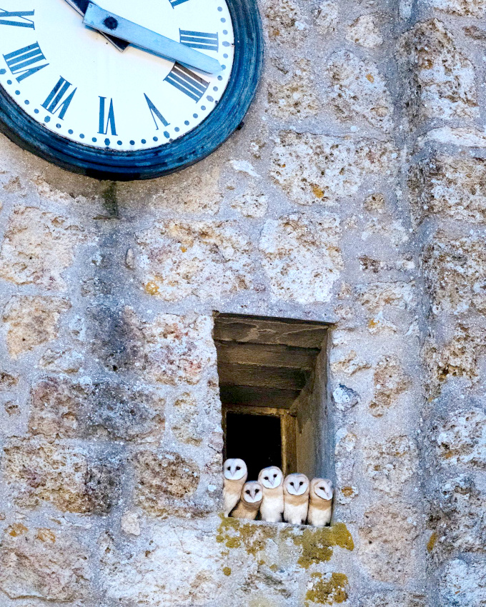 Attendre le bon moment... tout un art !