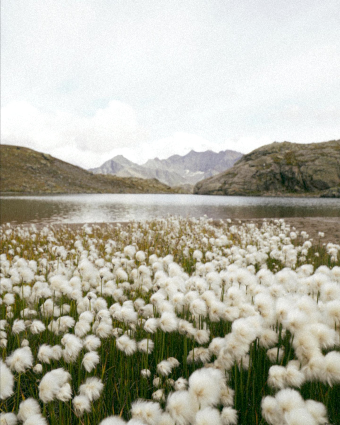 The perfect place #468