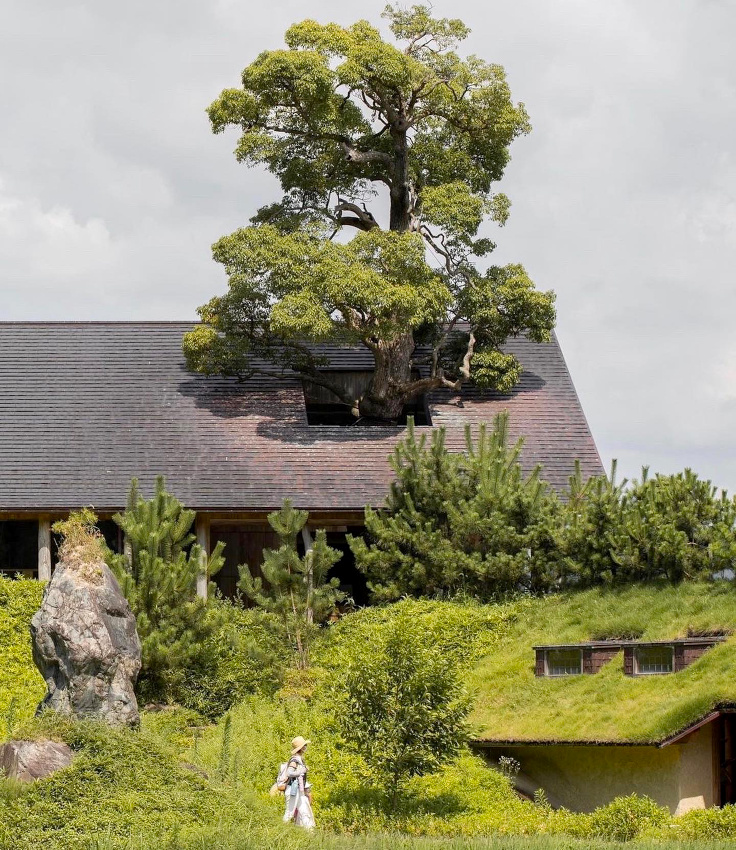 The perfect place #471