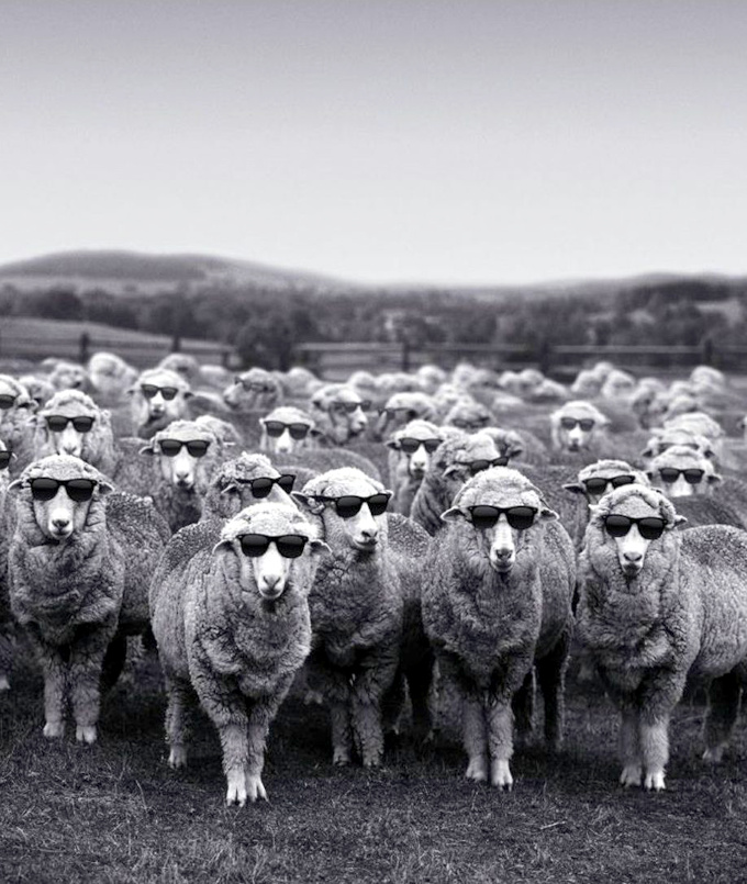 Passer incognito... tout un art !