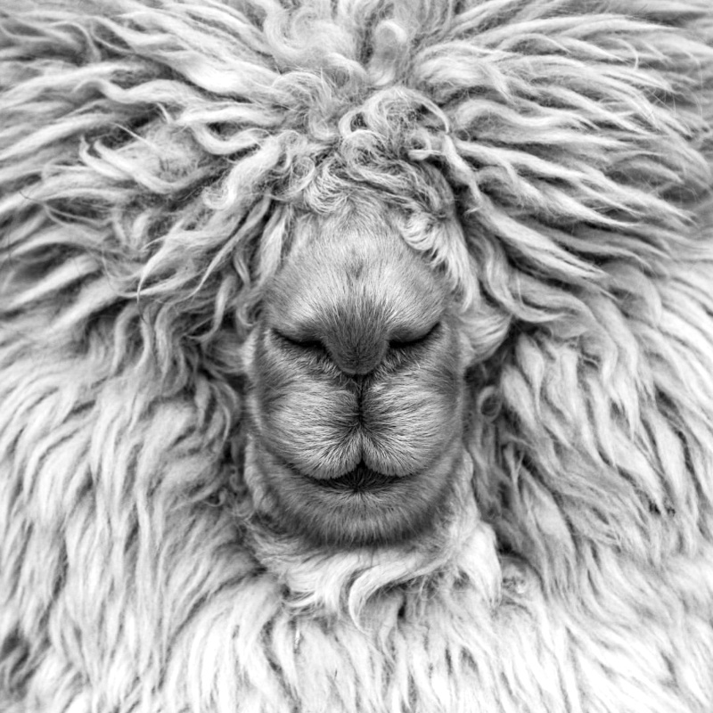 Ne pas tre du matin... tout un art !