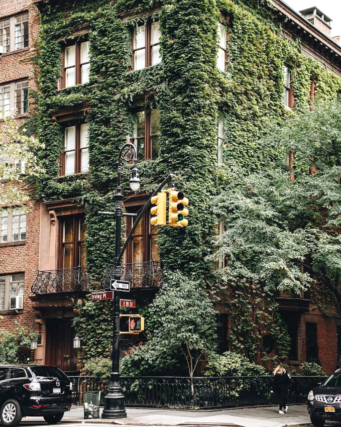 Lierre + mur en briques rouges = le bon mix