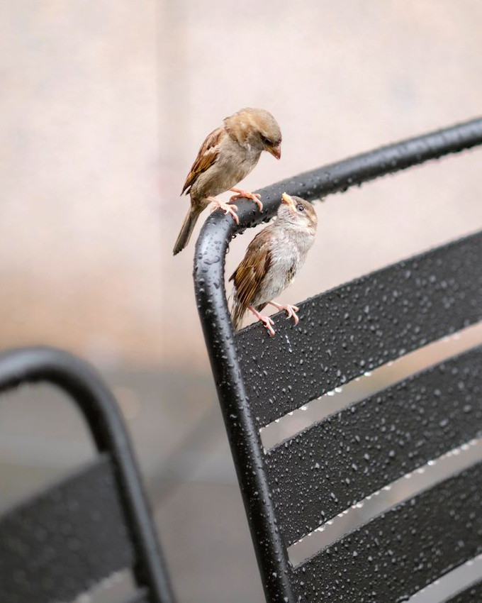 Affronter les al�as de la vie � deux... tout un art !