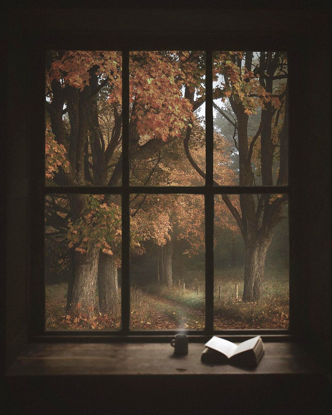 Bon roman + th� fumant + vue sur la nature = le bon mix