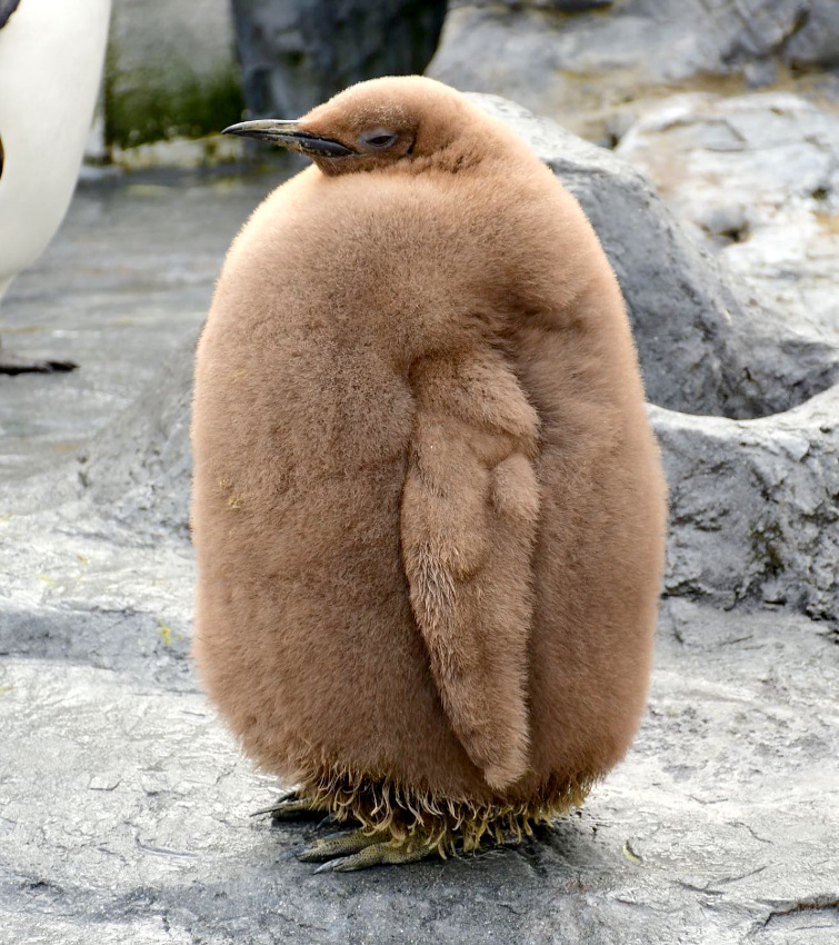 Privil�gier le confort au mouvement... tout un art !