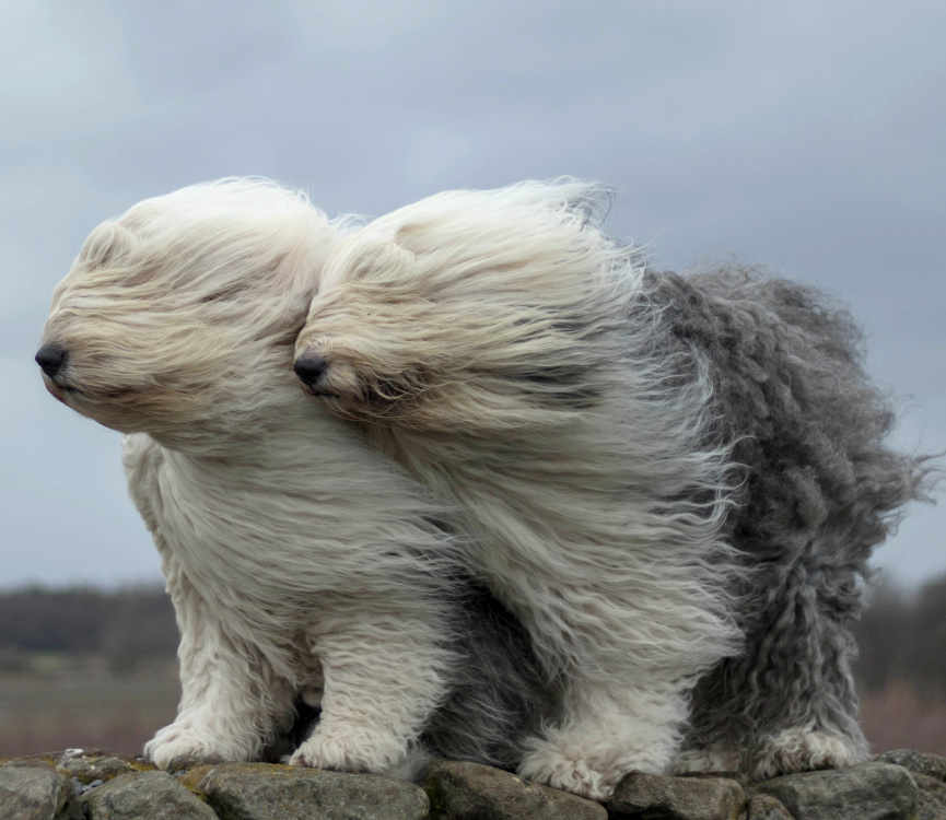 Affronter les al�as de la vie � deux... tout un art !