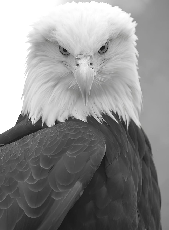 Juger au premier regard... tout un art !