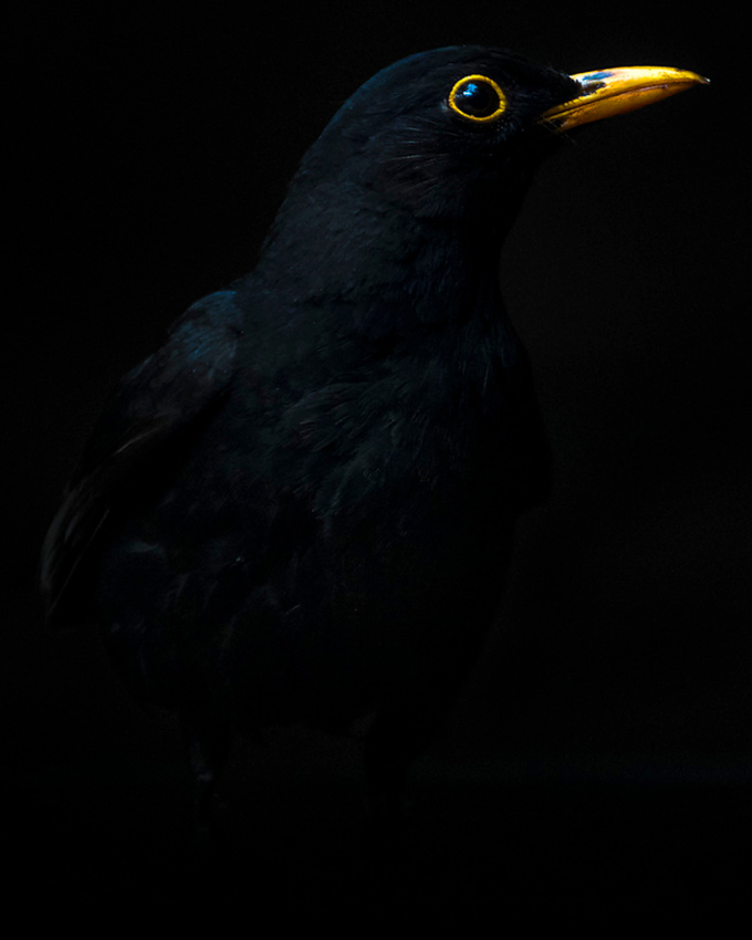 Quand discr�tion et audace se conjuguent pour le meilleur !