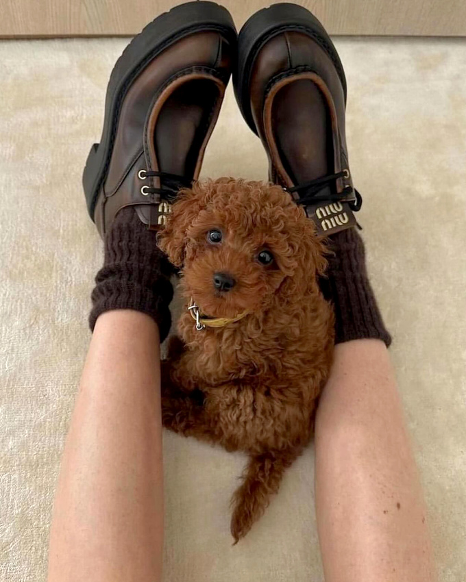 Envie de douceur caramel/chocolat...