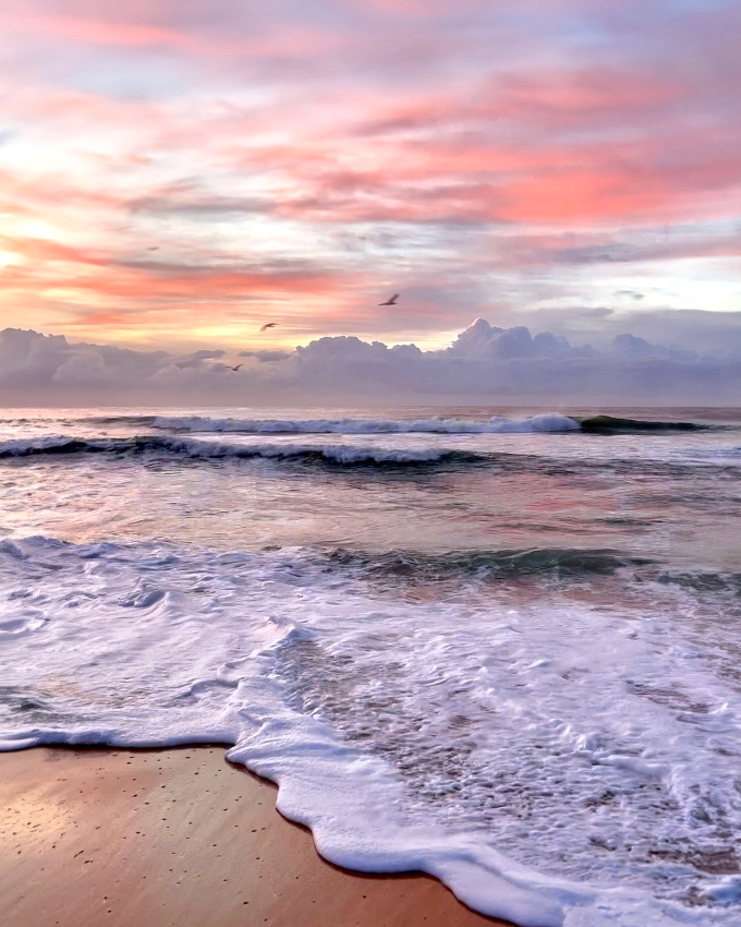 The perfect place #492