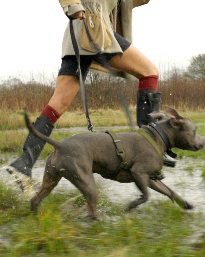 Illustration parfaite du bonheur #347