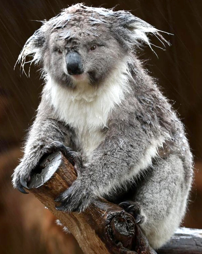 tre en retard et assumer... tout un art !