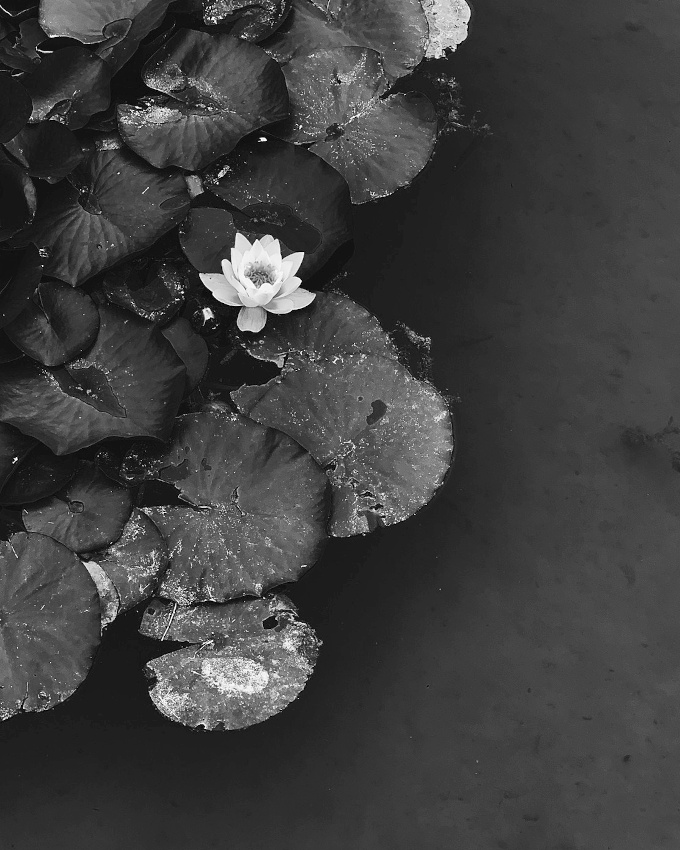 Rugosit + dlicatesse = le bon mix