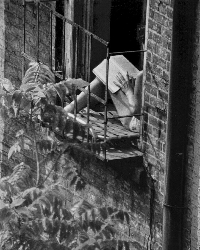 The perfect place #496